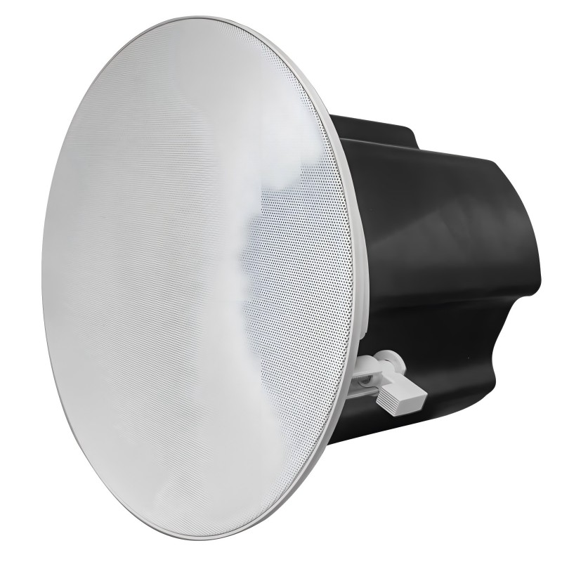 L'altoparlante Dante è compatibile con le apparecchiature audio esistenti